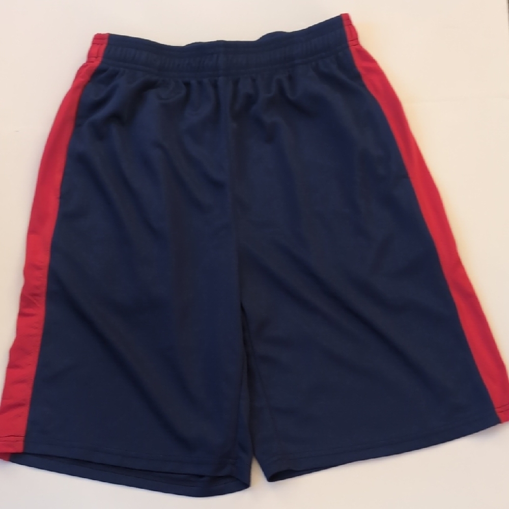 Liberty Pro Like New Mens Shorts